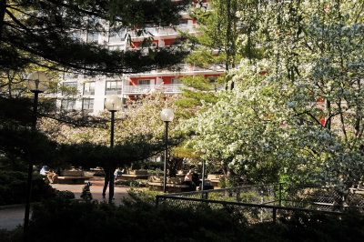 DSC_2135.JPG