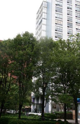 Garden & NYU Housing at One Washington Square Village