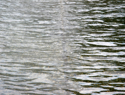 Fountain Pool