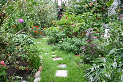 Garden Plot Path