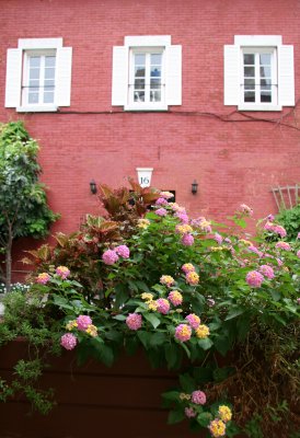 Flower Box & NYU's Maison Francaise