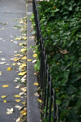 Sidewalk Foliage