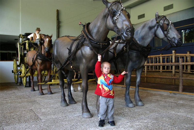 In the Adirondack museum.