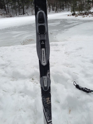 Winter 2012-13