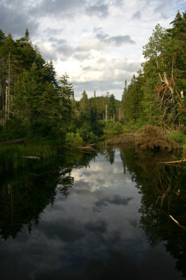Wilderness near the Sagamore Lake.