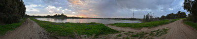 Shikma at Dawn - The whole picture