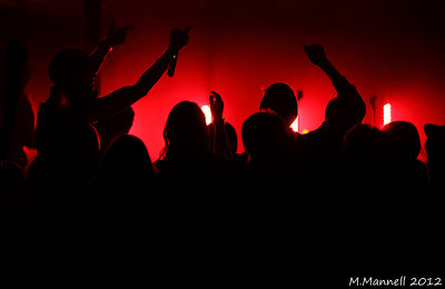 Dog Bus: The Starlight - December 5th 2012
