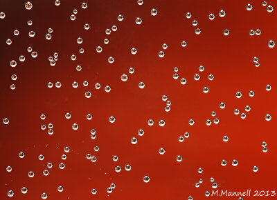 Micro Bubbles