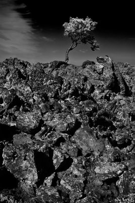 Craters of the Moon.JPG