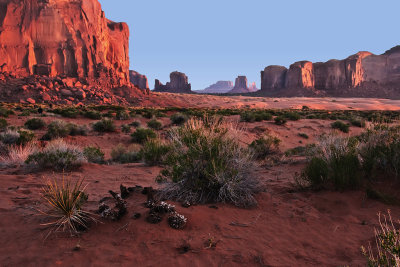 January 2010 Best Landscape - Dawn at Monument Valley