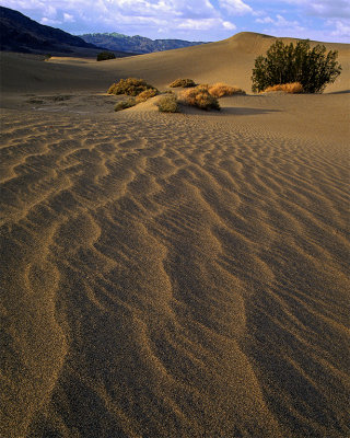 September 2010 Best Landscape - Death Valley Dunes