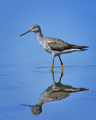 Sacramento Delta/San Francisco Bay Areas-2