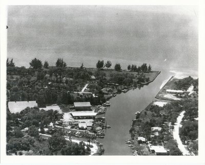 Aerial of Whitaker Bayou ca. 1954_2