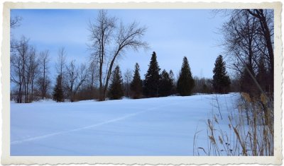 IMG_0129b.jpg