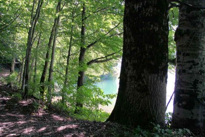 Lake Biogradska