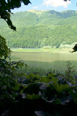 Lake Biogradska