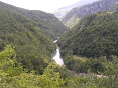 Tara river