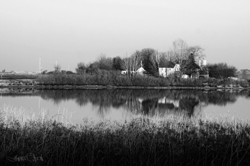 Farm Across the Pond