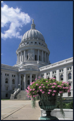 Capitol, Cloud and a Flower Pot