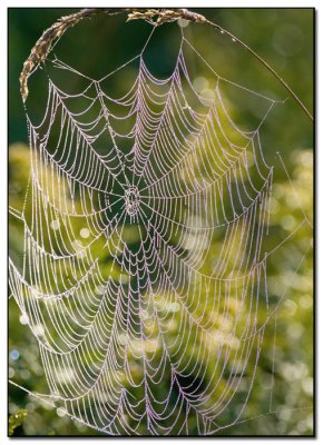 Web_01.jpg