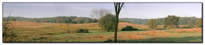 Vista_01.jpg