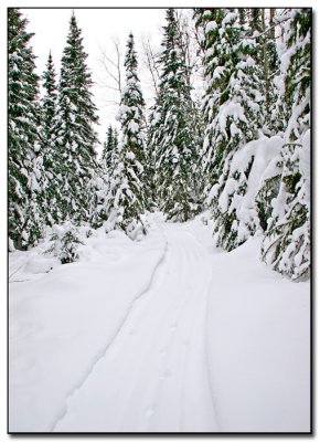 Trail_01.jpg