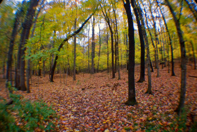 RLR_6807_fisheye_web.jpg