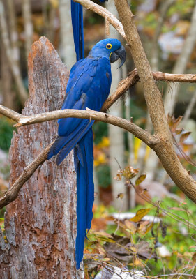 Zoo November 2012