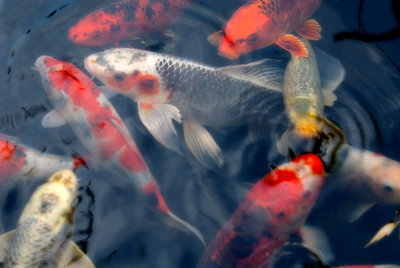 RLR_6974_WEB.jpg