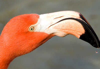 RLR_7075_WEB.jpg