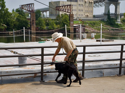 Scent dog Sam trying to pick up the scent of Tara Cole along the riverfront.