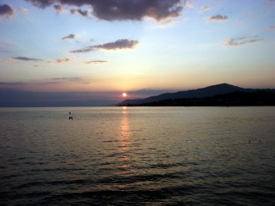 g2/27/547427/3/65835798.7MF21Yri.jpg
