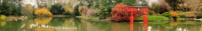 webjapanese-garden-autumnPanorama.jpg