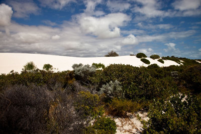 Silver sands