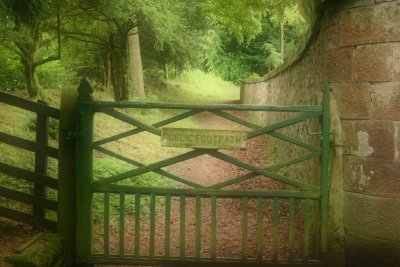 Leafy pathway