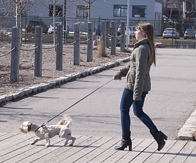 On a Leash 1