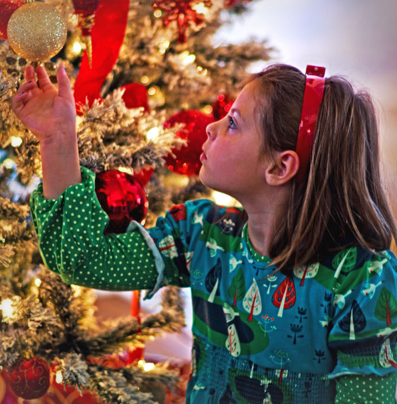 Wonder of the Season