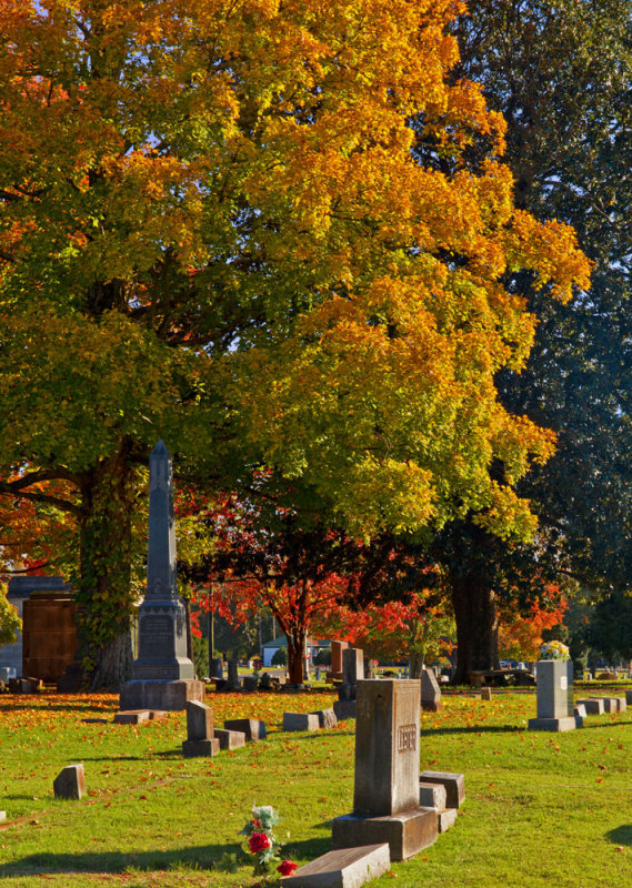 Autumn Color