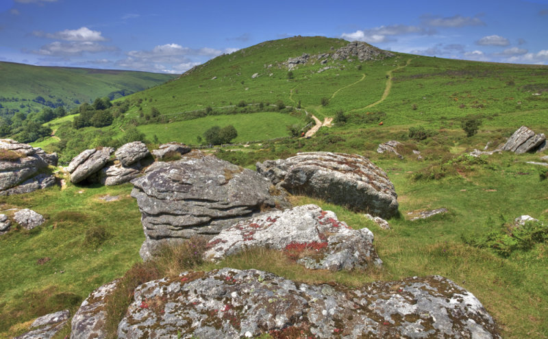 Looking towards Chinkwell Tor from Bonehill Rocks, Dartmoor.