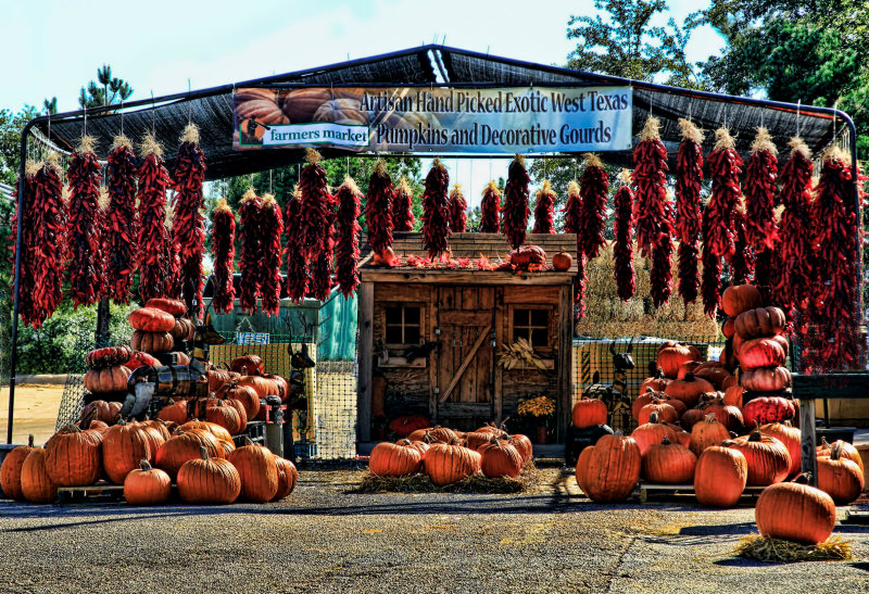 PUMPKINS AND PEPPERS