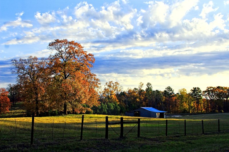 AN AUTUMN RANCH