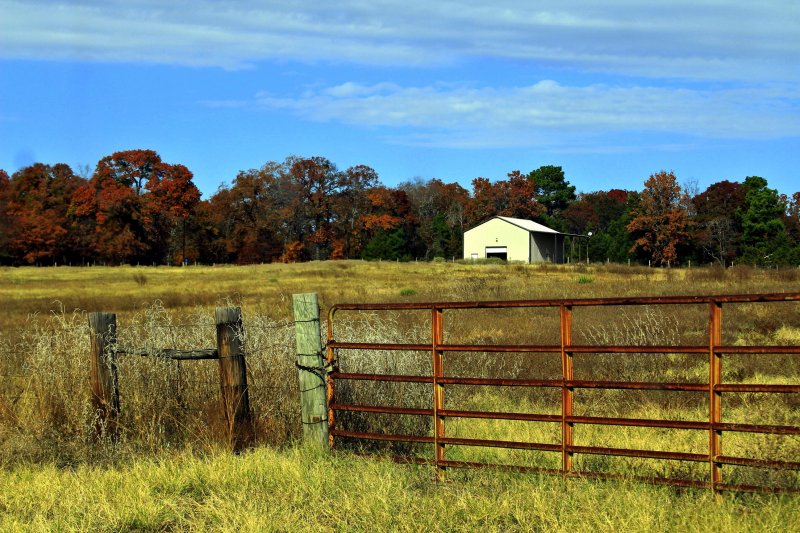GATE AND BARN