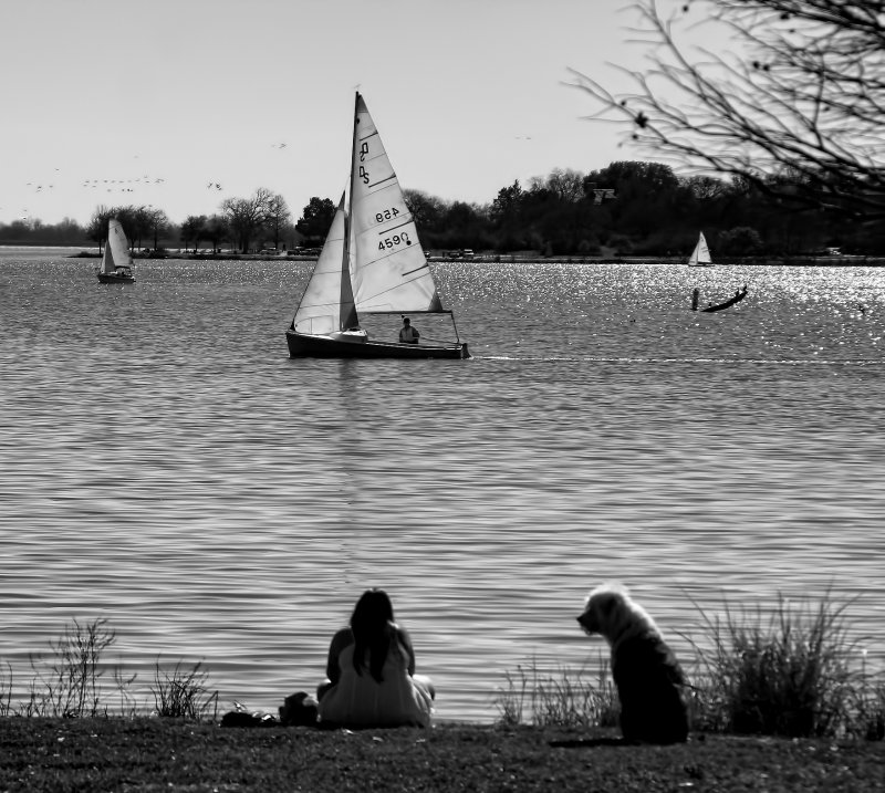 SUNDAY IN THE PARK