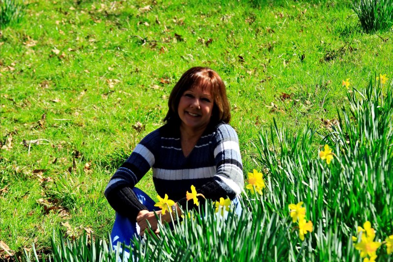 AMONGST THE DAFFODILS