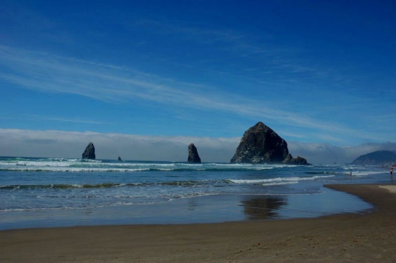 THE OCEAN