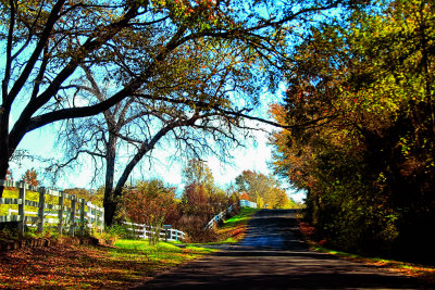 COUNTRY ROAD