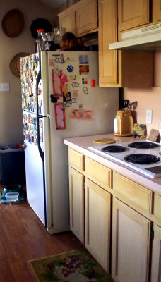 KITCHEN CABINETS BEFORE 