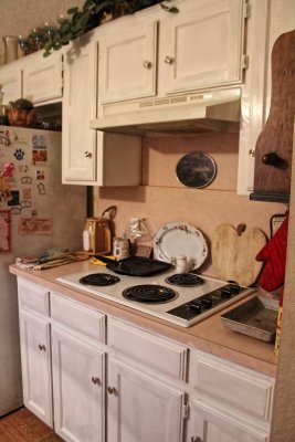 CABINETS PAINTED