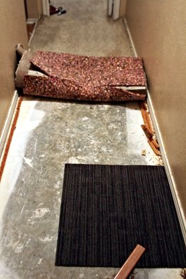 RIPPING UP CARPET