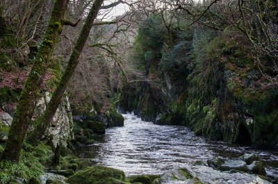 The Fairy Glen